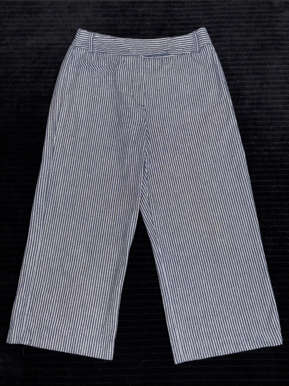 Sandro Sportswear Sz 8 Ladie’s Striped Wide-Leg Cropped Pants — Blue and White
